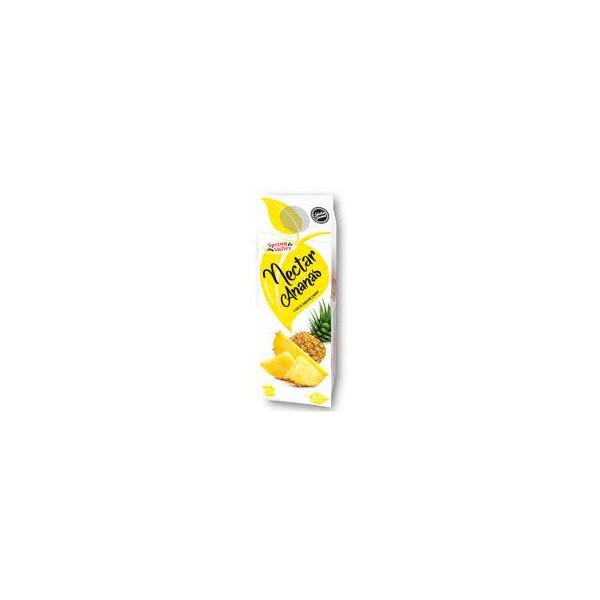 Jus Nectar Ananas Spring Valley 2L