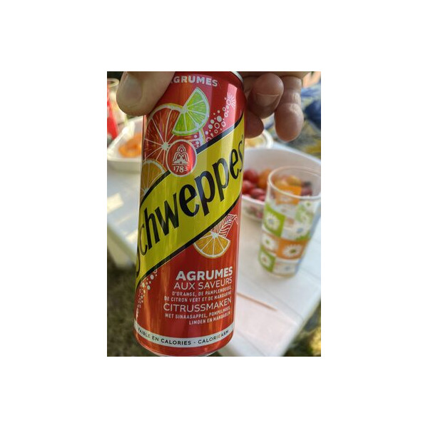 Schweppes Agrum Orangina Schweppes Schweppes 33 cl